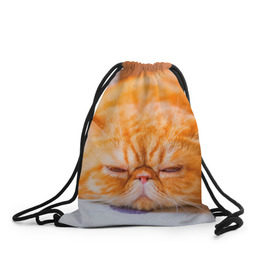 Рюкзак-мешок 3D с принтом Рыжий кот в Санкт-Петербурге, 100% полиэстер | плотность ткани — 200 г/м2, размер — 35 х 45 см; лямки — толстые шнурки, застежка на шнуровке, без карманов и подкладки | кот | кошка | милая | рыжий