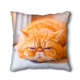 Подушка 3D с принтом Рыжий кот в Санкт-Петербурге, наволочка – 100% полиэстер, наполнитель – холлофайбер (легкий наполнитель, не вызывает аллергию). | состоит из подушки и наволочки. Наволочка на молнии, легко снимается для стирки | кот | кошка | милая | рыжий