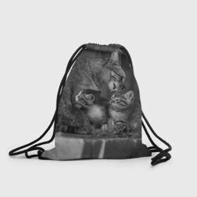 Рюкзак-мешок 3D с принтом Котята в Санкт-Петербурге, 100% полиэстер | плотность ткани — 200 г/м2, размер — 35 х 45 см; лямки — толстые шнурки, застежка на шнуровке, без карманов и подкладки | животные | кот | кошка | милая