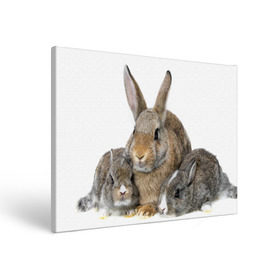 Холст прямоугольный с принтом Кролики в Санкт-Петербурге, 100% ПВХ |  | Тематика изображения на принте: animals | bunnies | cute | eared | family | fluffy | kids | mom | rabbits | животные | зайцы | кролики | малыши | мама | милые | пушистые | семья | ушастые