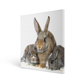 Холст квадратный с принтом Кролики в Санкт-Петербурге, 100% ПВХ |  | animals | bunnies | cute | eared | family | fluffy | kids | mom | rabbits | животные | зайцы | кролики | малыши | мама | милые | пушистые | семья | ушастые