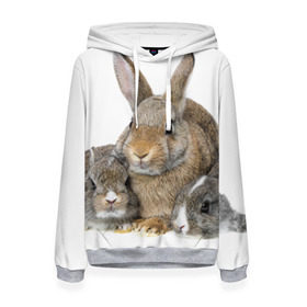 Женская толстовка 3D с принтом Кролики в Санкт-Петербурге, 100% полиэстер  | двухслойный капюшон со шнурком для регулировки, мягкие манжеты на рукавах и по низу толстовки, спереди карман-кенгуру с мягким внутренним слоем. | animals | bunnies | cute | eared | family | fluffy | kids | mom | rabbits | животные | зайцы | кролики | малыши | мама | милые | пушистые | семья | ушастые