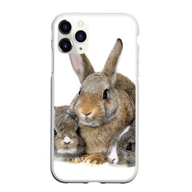 Чехол для iPhone 11 Pro Max матовый с принтом Кролики в Санкт-Петербурге, Силикон |  | animals | bunnies | cute | eared | family | fluffy | kids | mom | rabbits | животные | зайцы | кролики | малыши | мама | милые | пушистые | семья | ушастые