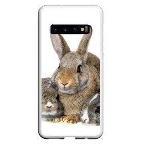Чехол для Samsung Galaxy S10 с принтом Кролики в Санкт-Петербурге, Силикон | Область печати: задняя сторона чехла, без боковых панелей | Тематика изображения на принте: animals | bunnies | cute | eared | family | fluffy | kids | mom | rabbits | животные | зайцы | кролики | малыши | мама | милые | пушистые | семья | ушастые