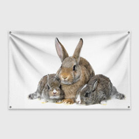 Флаг-баннер с принтом Кролики в Санкт-Петербурге, 100% полиэстер | размер 67 х 109 см, плотность ткани — 95 г/м2; по краям флага есть четыре люверса для крепления | animals | bunnies | cute | eared | family | fluffy | kids | mom | rabbits | животные | зайцы | кролики | малыши | мама | милые | пушистые | семья | ушастые