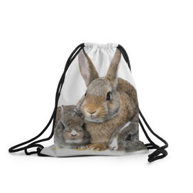 Рюкзак-мешок 3D с принтом Кролики в Санкт-Петербурге, 100% полиэстер | плотность ткани — 200 г/м2, размер — 35 х 45 см; лямки — толстые шнурки, застежка на шнуровке, без карманов и подкладки | animals | bunnies | cute | eared | family | fluffy | kids | mom | rabbits | животные | зайцы | кролики | малыши | мама | милые | пушистые | семья | ушастые