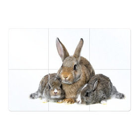 Магнитный плакат 3Х2 с принтом Кролики в Санкт-Петербурге, Полимерный материал с магнитным слоем | 6 деталей размером 9*9 см | animals | bunnies | cute | eared | family | fluffy | kids | mom | rabbits | животные | зайцы | кролики | малыши | мама | милые | пушистые | семья | ушастые