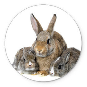 Коврик круглый с принтом Кролики в Санкт-Петербурге, резина и полиэстер | круглая форма, изображение наносится на всю лицевую часть | Тематика изображения на принте: animals | bunnies | cute | eared | family | fluffy | kids | mom | rabbits | животные | зайцы | кролики | малыши | мама | милые | пушистые | семья | ушастые