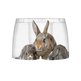 Мужские трусы 3D с принтом Кролики в Санкт-Петербурге, 50% хлопок, 50% полиэстер | классическая посадка, на поясе мягкая тканевая резинка | animals | bunnies | cute | eared | family | fluffy | kids | mom | rabbits | животные | зайцы | кролики | малыши | мама | милые | пушистые | семья | ушастые