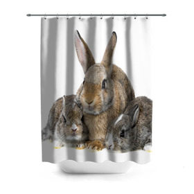 Штора 3D для ванной с принтом Кролики в Санкт-Петербурге, 100% полиэстер | плотность материала — 100 г/м2. Стандартный размер — 146 см х 180 см. По верхнему краю — пластиковые люверсы для креплений. В комплекте 10 пластиковых колец | animals | bunnies | cute | eared | family | fluffy | kids | mom | rabbits | животные | зайцы | кролики | малыши | мама | милые | пушистые | семья | ушастые