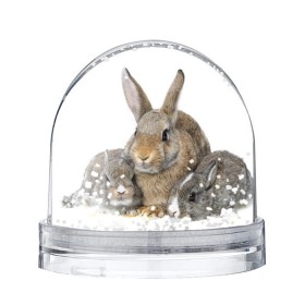 Водяной шар с принтом Кролики в Санкт-Петербурге, Пластик | Изображение внутри шара печатается на глянцевой фотобумаге с двух сторон | animals | bunnies | cute | eared | family | fluffy | kids | mom | rabbits | животные | зайцы | кролики | малыши | мама | милые | пушистые | семья | ушастые