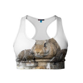 Женский спортивный топ 3D с принтом Кролики в Санкт-Петербурге, 82% полиэстер, 18% спандекс Ткань безопасна для здоровья, позволяет коже дышать, не мнется и не растягивается |  | animals | bunnies | cute | eared | family | fluffy | kids | mom | rabbits | животные | зайцы | кролики | малыши | мама | милые | пушистые | семья | ушастые