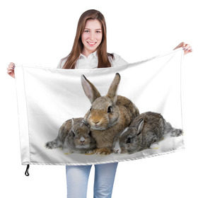 Флаг 3D с принтом Кролики в Санкт-Петербурге, 100% полиэстер | плотность ткани — 95 г/м2, размер — 67 х 109 см. Принт наносится с одной стороны | animals | bunnies | cute | eared | family | fluffy | kids | mom | rabbits | животные | зайцы | кролики | малыши | мама | милые | пушистые | семья | ушастые