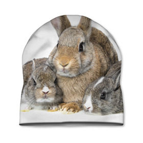 Шапка 3D с принтом Кролики в Санкт-Петербурге, 100% полиэстер | универсальный размер, печать по всей поверхности изделия | Тематика изображения на принте: animals | bunnies | cute | eared | family | fluffy | kids | mom | rabbits | животные | зайцы | кролики | малыши | мама | милые | пушистые | семья | ушастые