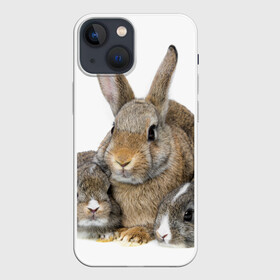 Чехол для iPhone 13 mini с принтом Кролики в Санкт-Петербурге,  |  | animals | bunnies | cute | eared | family | fluffy | kids | mom | rabbits | животные | зайцы | кролики | малыши | мама | милые | пушистые | семья | ушастые