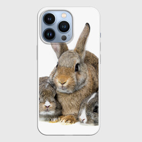 Чехол для iPhone 13 Pro с принтом Кролики в Санкт-Петербурге,  |  | Тематика изображения на принте: animals | bunnies | cute | eared | family | fluffy | kids | mom | rabbits | животные | зайцы | кролики | малыши | мама | милые | пушистые | семья | ушастые