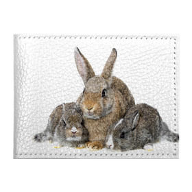 Обложка для студенческого билета с принтом Кролики в Санкт-Петербурге, натуральная кожа | Размер: 11*8 см; Печать на всей внешней стороне | animals | bunnies | cute | eared | family | fluffy | kids | mom | rabbits | животные | зайцы | кролики | малыши | мама | милые | пушистые | семья | ушастые