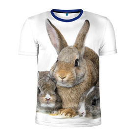 Мужская футболка 3D спортивная с принтом Кролики в Санкт-Петербурге, 100% полиэстер с улучшенными характеристиками | приталенный силуэт, круглая горловина, широкие плечи, сужается к линии бедра | animals | bunnies | cute | eared | family | fluffy | kids | mom | rabbits | животные | зайцы | кролики | малыши | мама | милые | пушистые | семья | ушастые