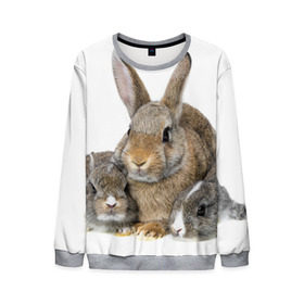Мужской свитшот 3D с принтом Кролики в Санкт-Петербурге, 100% полиэстер с мягким внутренним слоем | круглый вырез горловины, мягкая резинка на манжетах и поясе, свободная посадка по фигуре | Тематика изображения на принте: animals | bunnies | cute | eared | family | fluffy | kids | mom | rabbits | животные | зайцы | кролики | малыши | мама | милые | пушистые | семья | ушастые