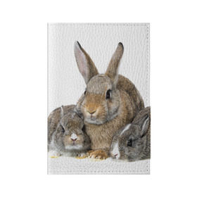 Обложка для паспорта матовая кожа с принтом Кролики в Санкт-Петербурге, натуральная матовая кожа | размер 19,3 х 13,7 см; прозрачные пластиковые крепления | Тематика изображения на принте: animals | bunnies | cute | eared | family | fluffy | kids | mom | rabbits | животные | зайцы | кролики | малыши | мама | милые | пушистые | семья | ушастые