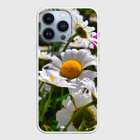 Чехол для iPhone 13 Pro с принтом Ромашки в Санкт-Петербурге,  |  | желтая | лепесток | природа | ромашка | цветок | яркая