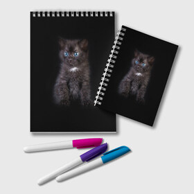 Блокнот с принтом Чёрный котёнок в Санкт-Петербурге, 100% бумага | 48 листов, плотность листов — 60 г/м2, плотность картонной обложки — 250 г/м2. Листы скреплены удобной пружинной спиралью. Цвет линий — светло-серый
 | Тематика изображения на принте: киска | кот | кошка