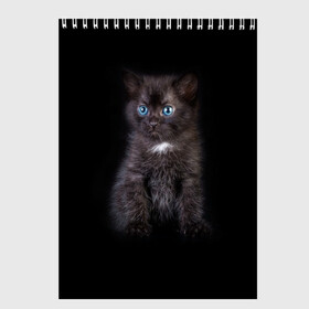 Скетчбук с принтом Чёрный котёнок в Санкт-Петербурге, 100% бумага
 | 48 листов, плотность листов — 100 г/м2, плотность картонной обложки — 250 г/м2. Листы скреплены сверху удобной пружинной спиралью | Тематика изображения на принте: киска | кот | кошка