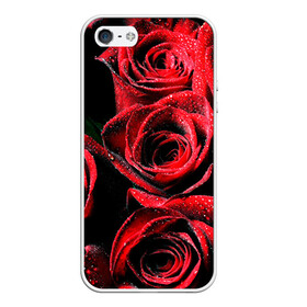 Чехол для iPhone 5/5S матовый с принтом Розы в Санкт-Петербурге, Силикон | Область печати: задняя сторона чехла, без боковых панелей | алый | красный | роса | фото | цветы