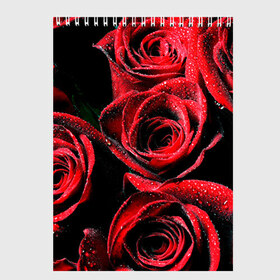 Скетчбук с принтом Розы в Санкт-Петербурге, 100% бумага
 | 48 листов, плотность листов — 100 г/м2, плотность картонной обложки — 250 г/м2. Листы скреплены сверху удобной пружинной спиралью | алый | красный | роса | фото | цветы