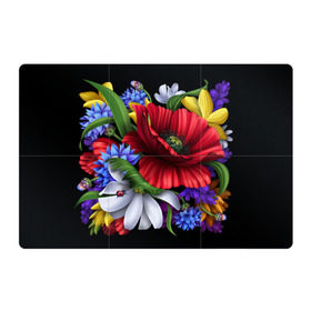 Магнитный плакат 3Х2 с принтом Композиция цветов в Санкт-Петербурге, Полимерный материал с магнитным слоем | 6 деталей размером 9*9 см | композиция | мак | ромашки | цветы