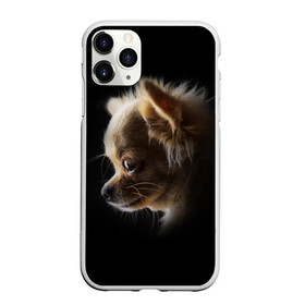 Чехол для iPhone 11 Pro матовый с принтом Чихуахуа в Санкт-Петербурге, Силикон |  | Тематика изображения на принте: голова животного | прикольные картинки | собака | чихуахуа | щенок