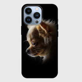 Чехол для iPhone 13 Pro с принтом Чихуахуа в Санкт-Петербурге,  |  | голова животного | прикольные картинки | собака | чихуахуа | щенок