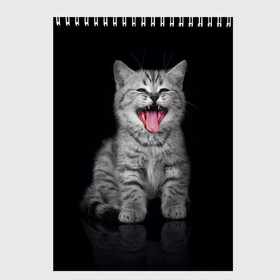 Скетчбук с принтом Весёлый котик в Санкт-Петербурге, 100% бумага
 | 48 листов, плотность листов — 100 г/м2, плотность картонной обложки — 250 г/м2. Листы скреплены сверху удобной пружинной спиралью | кот | кошка | прикол