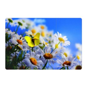 Магнитный плакат 3Х2 с принтом Ромашки и бабочка в Санкт-Петербурге, Полимерный материал с магнитным слоем | 6 деталей размером 9*9 см | бабочки | лето | природа | ромашки | цветы