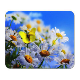 Коврик прямоугольный с принтом Ромашки и бабочка в Санкт-Петербурге, натуральный каучук | размер 230 х 185 мм; запечатка лицевой стороны | бабочки | лето | природа | ромашки | цветы
