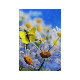 Обложка для паспорта матовая кожа с принтом Ромашки и бабочка в Санкт-Петербурге, натуральная матовая кожа | размер 19,3 х 13,7 см; прозрачные пластиковые крепления | Тематика изображения на принте: бабочки | лето | природа | ромашки | цветы