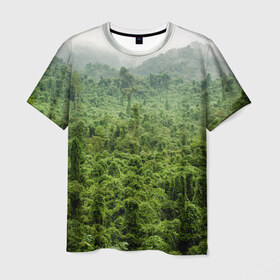 Мужская футболка 3D с принтом Потрясающие тропики в Санкт-Петербурге, 100% полиэфир | прямой крой, круглый вырез горловины, длина до линии бедер | деревья | джунгли | зелень | красиво | лес | пейзаж | фото