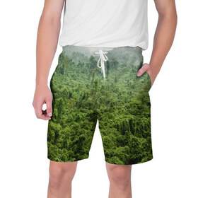 Мужские шорты 3D с принтом Потрясающие тропики в Санкт-Петербурге,  полиэстер 100% | прямой крой, два кармана без застежек по бокам. Мягкая трикотажная резинка на поясе, внутри которой широкие завязки. Длина чуть выше колен | деревья | джунгли | зелень | красиво | лес | пейзаж | фото