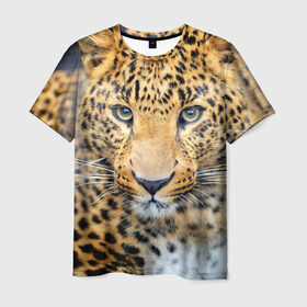 Мужская футболка 3D с принтом Хищные животные в Санкт-Петербурге, 100% полиэфир | прямой крой, круглый вырез горловины, длина до линии бедер | леопард | пятнистый | хищник