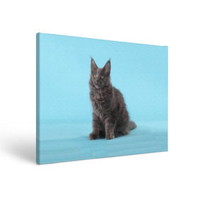 Холст прямоугольный с принтом Кот мейн кун в Санкт-Петербурге, 100% ПВХ |  | Тематика изображения на принте: котенок | мейнкун