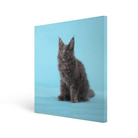 Холст квадратный с принтом Кот мейн кун в Санкт-Петербурге, 100% ПВХ |  | котенок | мейнкун