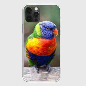 Чехол для iPhone 12 Pro Max с принтом Попугай в Санкт-Петербурге, Силикон |  | пернатые | попугай | прикольные картинки | природа | птица