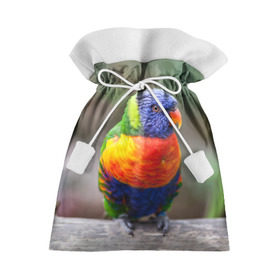 Подарочный 3D мешок с принтом Попугай в Санкт-Петербурге, 100% полиэстер | Размер: 29*39 см | пернатые | попугай | прикольные картинки | природа | птица