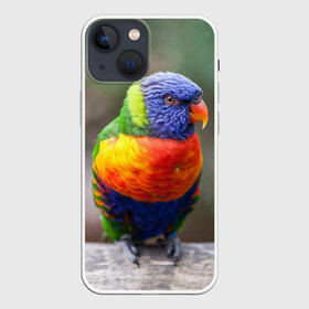 Чехол для iPhone 13 mini с принтом Попугай в Санкт-Петербурге,  |  | пернатые | попугай | прикольные картинки | природа | птица