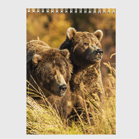Скетчбук с принтом Медведи в Санкт-Петербурге, 100% бумага
 | 48 листов, плотность листов — 100 г/м2, плотность картонной обложки — 250 г/м2. Листы скреплены сверху удобной пружинной спиралью | животные | лес | медведи | охота | природа | туризм
