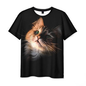 Мужская футболка 3D с принтом Зеленоглазый котёнок в Санкт-Петербурге, 100% полиэфир | прямой крой, круглый вырез горловины, длина до линии бедер | Тематика изображения на принте: кот | кошка | прикольные картинки