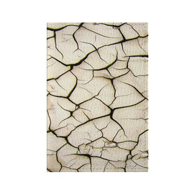 Обложка для паспорта матовая кожа с принтом Dry Soil в Санкт-Петербурге, натуральная матовая кожа | размер 19,3 х 13,7 см; прозрачные пластиковые крепления | Тематика изображения на принте: земля | пустыня | трещины
