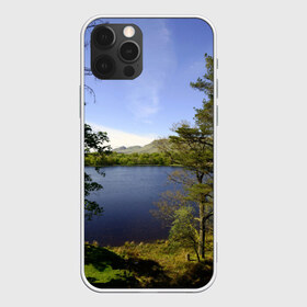 Чехол для iPhone 12 Pro Max с принтом сосны в Санкт-Петербурге, Силикон |  | Тематика изображения на принте: берег | горы | лес | море | озеро | океан | сосны | тайга