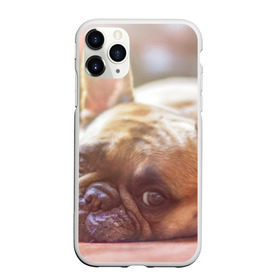 Чехол для iPhone 11 Pro матовый с принтом французский бульдог в Санкт-Петербурге, Силикон |  | dog | бульдог | друг | собака | язык