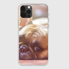 Чехол для iPhone 12 Pro Max с принтом французский бульдог в Санкт-Петербурге, Силикон |  | Тематика изображения на принте: dog | бульдог | друг | собака | язык
